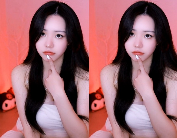 铿铿铿锵锵锵锵免费观看